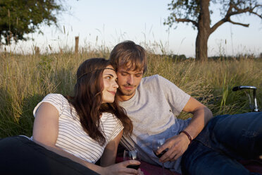 Boyfriend and girlfriend drinking wine in field - FSIF02907