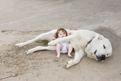 Ein Baby liegt mit einem Hund - FSIF02919
