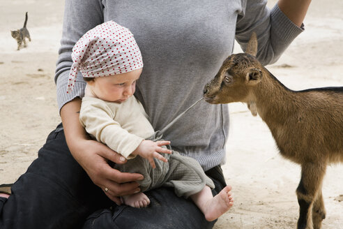 A goat pulling on the drawstring of a baby's pants - FSIF02920