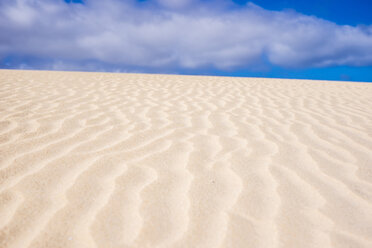 Spain, Canary Islands, Fuerteventura, dune - SIPF01937