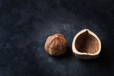 Hazelnut and shell on dark ground stock photo