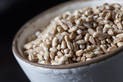 Bowl of spelt grains, close-up stock photo