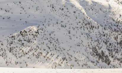 Schweiz, Engadin, Seite eines Berges mit Felsen und Bäumen, die aus dem Schnee wachsen - MRAF00264