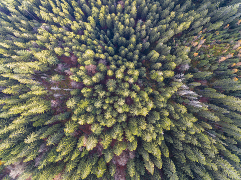 Deutschland, Bayern, Niederbayern, Bayerischer Wald, Luftbild, lizenzfreies Stockfoto