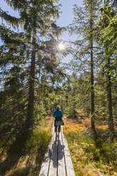 Deutschland, Bayern, Niederbayern, Nationalpark Bayerischer Wald, Wanderin auf Holzsteg - FOF09832