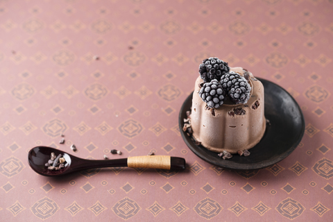 Chocolate ice cream cake with blackberry stock photo