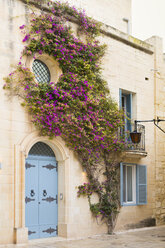 Malta, Mdina, Fassade mit Rankenwerk - FCF01344