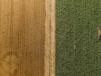 Serbien, Vojvodina, landwirtschaftliche Felder, Luftaufnahme zur Sommerzeit - NOF00002