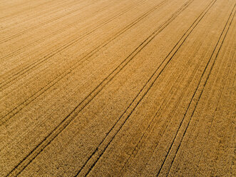 Serbia, Vojvodina, agricultural fields, aerial view at summer season - NOF00003