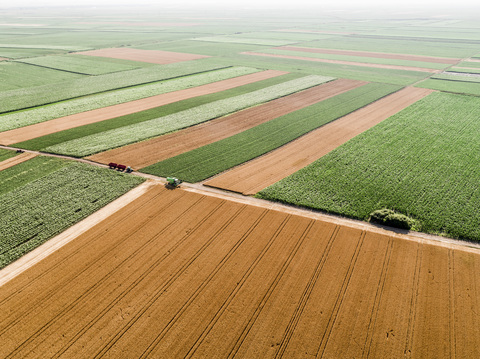 Serbien, Vojvodina, landwirtschaftliche Felder, Luftaufnahme zur Sommerzeit, lizenzfreies Stockfoto