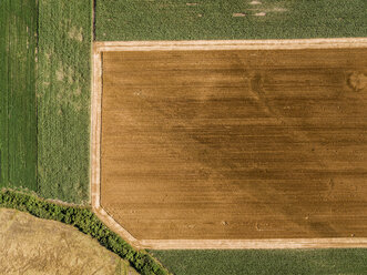 Serbia, Vojvodina, agricultural fields, aerial view at summer season - NOF00005