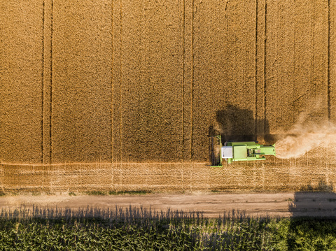 Serbia, Vojvodina. Combine harvester on a field of wheat, aerial view stock photo