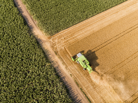 Serbia, Vojvodina. Combine harvester on a field of wheat, aerial view stock photo