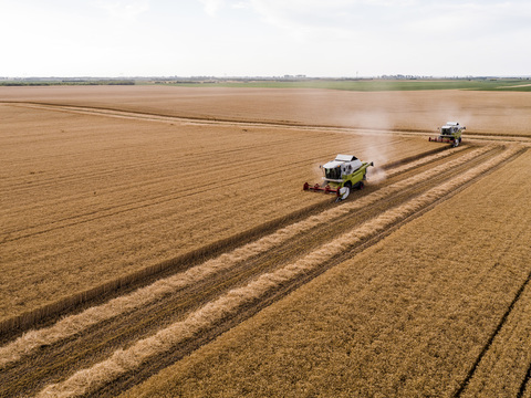 Serbia, Vojvodina. Combine harvester on a field of wheat, aerial view stock photo