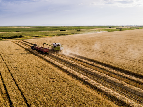 Serbia, Vojvodina. Combine harvester on a field of wheat, aerial view stock photo