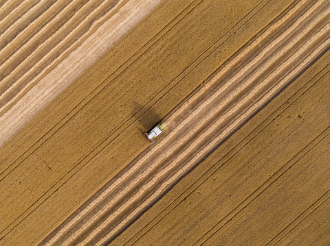 Serbien, Vojvodina: Mähdrescher auf einem Weizenfeld, Luftaufnahme, lizenzfreies Stockfoto