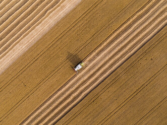 Serbien, Vojvodina: Mähdrescher auf einem Weizenfeld, Luftaufnahme - NOF00011