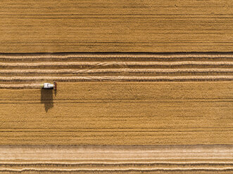 Serbia, Vojvodina. Combine harvester on a field of wheat, aerial view - NOF00012