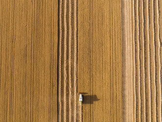 Serbien, Vojvodina: Mähdrescher auf einem Weizenfeld, Luftaufnahme - NOF00013