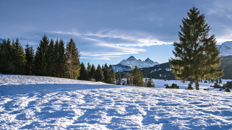 Deutschland, Bayern, Oberbayern, Garmisch-Partenkirchen, Werdenfelser Land, Buckelwiese im Winter, lizenzfreies Stockfoto