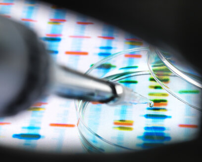 DNA-Probe, die in eine Petrischale pipettiert wird, über genetische Ergebnisse - ABRF00109