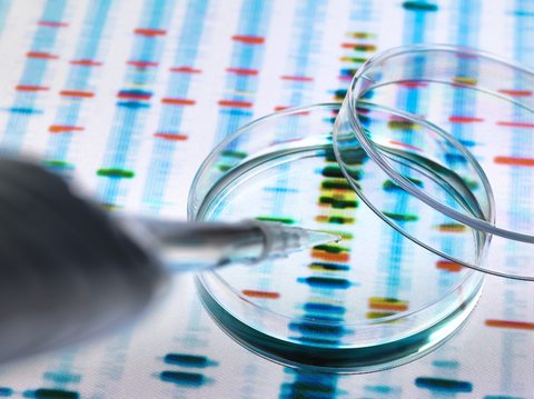Sample of DNA being pipetted into a petri dish over genetic results stock photo