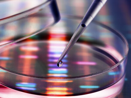 Sample of DNA being pipetted into a petri dish over genetic results - ABRF00112