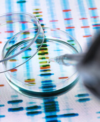 Sample of DNA being pipetted into a petri dish over genetic results - ABRF00113