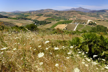 Italien, Provinz Trapani, Blick vom Theater von Segesta auf die Agora di Segesta und die Villa Palmeri - LBF01793