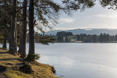 Deutschland, Bayern, Allgäu, Ostallgäu, Weiher Schmutterweiher bei Roßhaupten - LBF01796