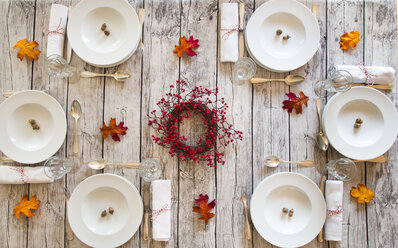 Autumnal laid table - LVF06737