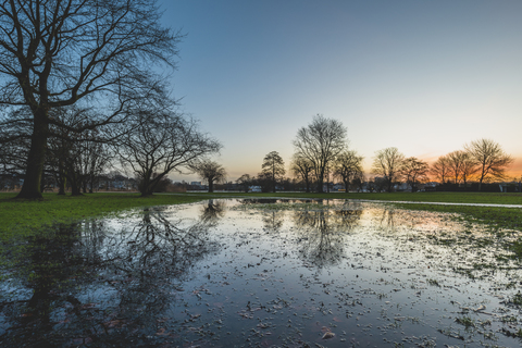 Deutschland, Hamburg, Pfütze im Alsterpark am Abend, lizenzfreies Stockfoto