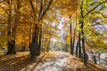 Germany, Bavaria, Munich, river Isar, path in autumn - FOF09866