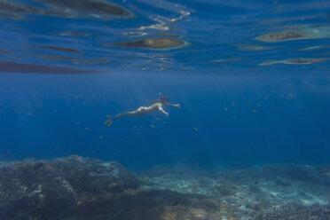 Woman with fins and snorkel diving under water - KNTF01023