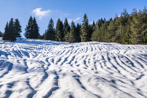 Deutschland, Bayern, Oberbayern, Garmisch-Partenkirchen, Werdenfelser Land, Buckelwiese im Winter - STSF01472