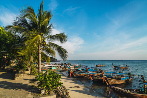 Thailand, Phi Phi Inseln, Ko Phi Phi, verankerte Longtailboote am Strand - KKAF00872