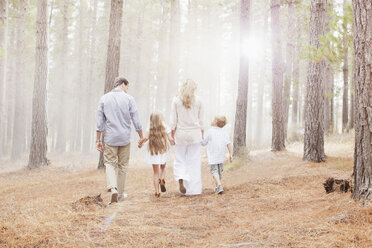 Familie hält sich an den Händen und geht im sonnigen Wald spazieren - CAIF00039