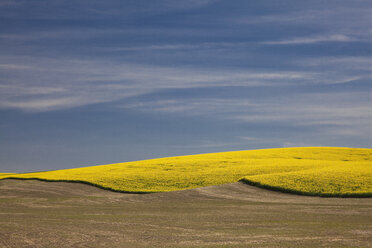 Blick auf den gelben Hügel - CAIF00418