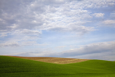 Wolken am blauen Himmel über einer sanften Hügellandschaft - CAIF00423