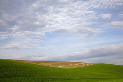 Wolken am blauen Himmel über einer sanften Hügellandschaft - CAIF00423