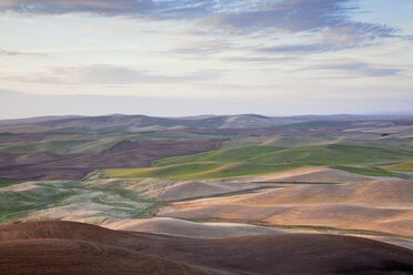 Luftaufnahme der hügeligen Landschaft - CAIF00425