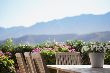 Blumen am Terrassentisch mit Blick auf die Berge - CAIF00632