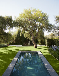 Pool in einem ruhigen Garten - CAIF00636