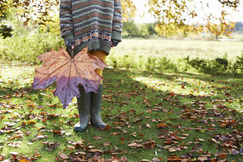 Kind hält großes Herbstblatt im Freien, lizenzfreies Stockfoto