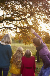 Familie bewundert Herbstblätter im Baum - CAIF00969