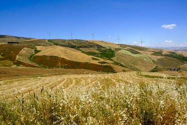 Italy, Sicily, near Corleone, Grain fields and wind wheels - LBF01813