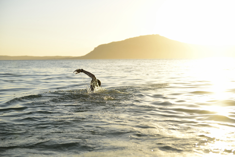 Man swimming in the sea in backlight stock photo