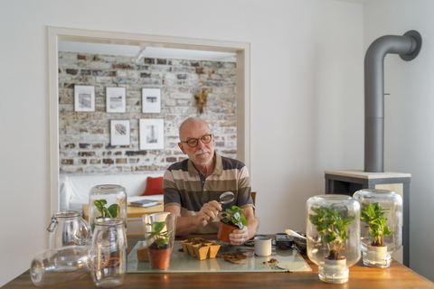 Älterer Mann stellt zu Hause Glasbiotope her, lizenzfreies Stockfoto