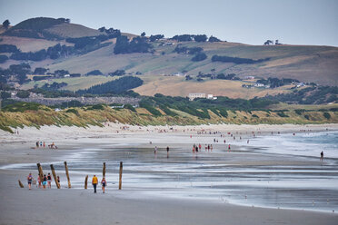 Neuseeland, Südinsel, Dunedin, St Clair Beach - MRF01758