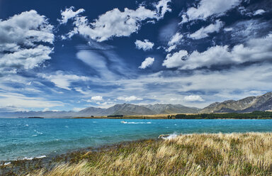 Neuseeland, Südinsel, Lake Tekapo - MRF01786